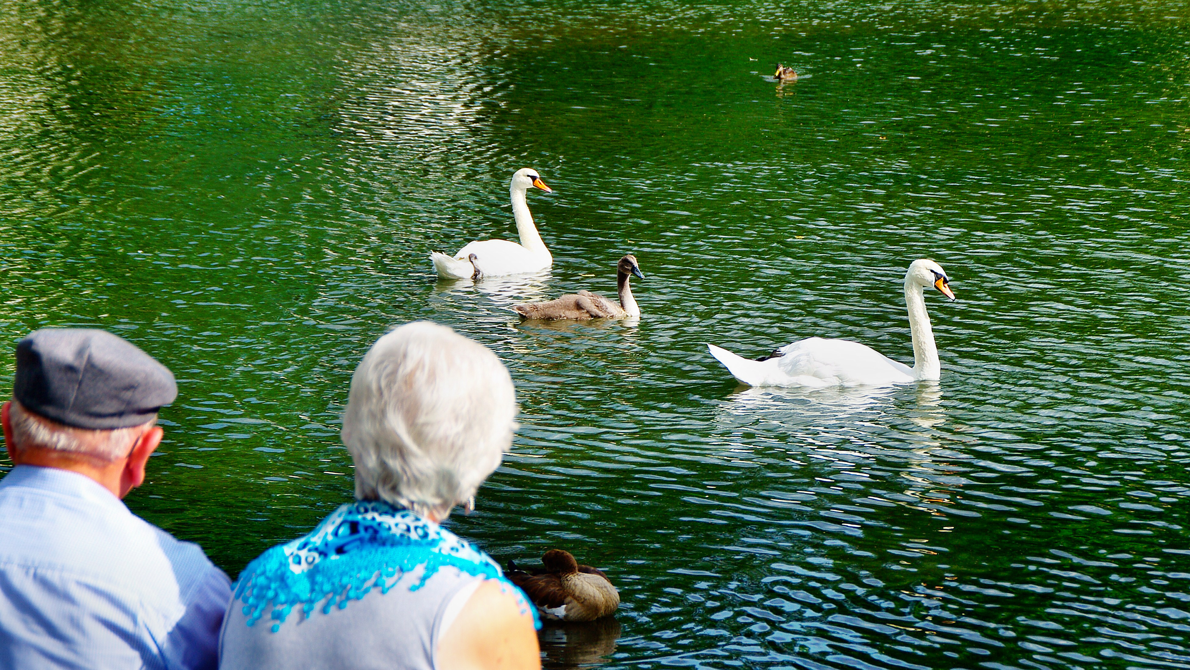 Rentner am Teich